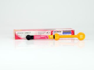 Изображение товара «Градиа директ цвет А1 шприц 4г шт. N1»