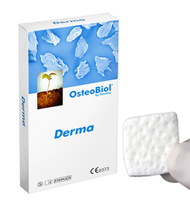 Изображение товара «Мембрана Derma 30*30*2 мм толстая, период резорбции 4 месяца (ED03SS) шт. N1»